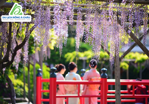 TOUR NHẬT BẢN: CUNG ĐƯỜNG VÀNG NARITA - TOKYO - FUJI - NA...
